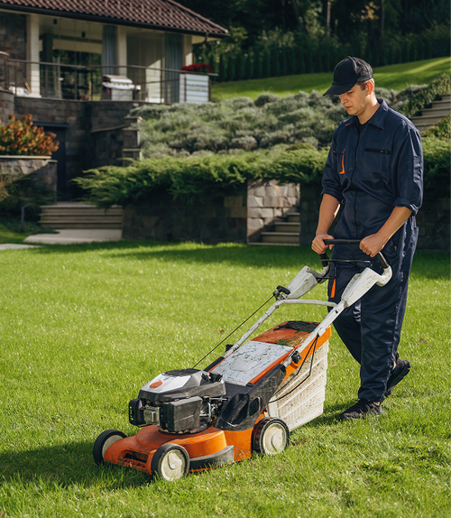 Gas-Powered Lawn Mower
